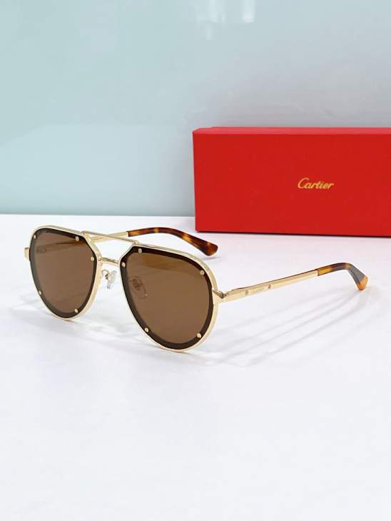 Picture of Cartier Sunglasses _SKUfw79120298fw